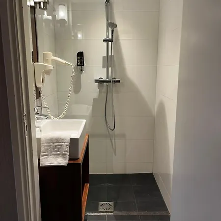 Otel De Roode Leeuw 3*