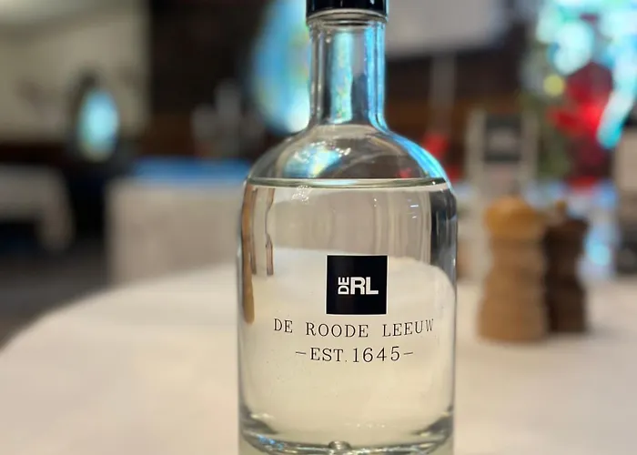 De Roode Leeuw Hotel 3*