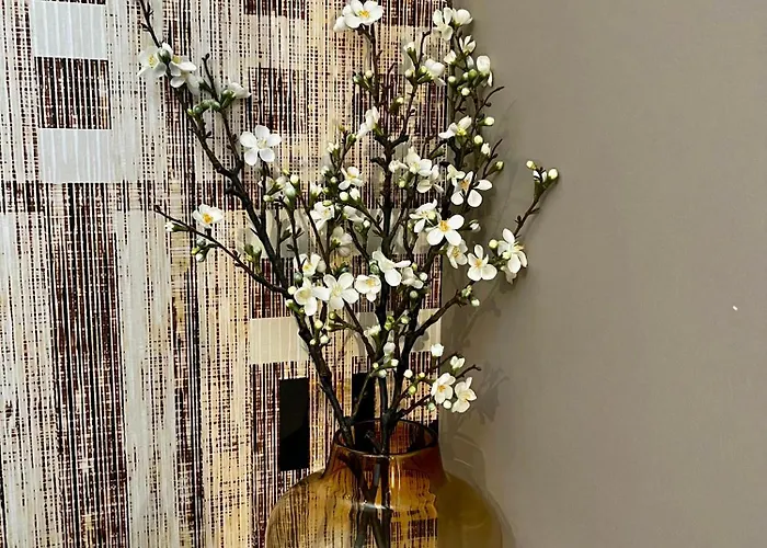 Hotel De Roode Leeuw 3*