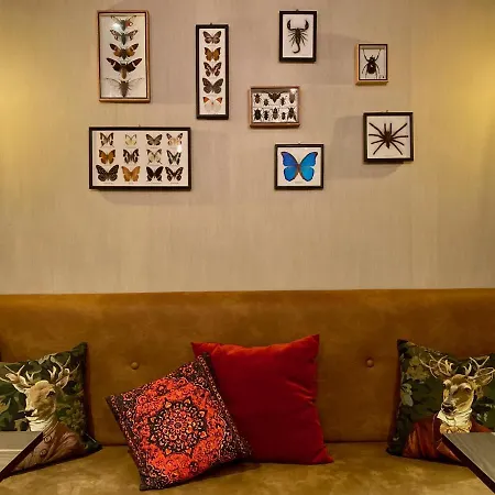 Hotel De Roode Leeuw 3*