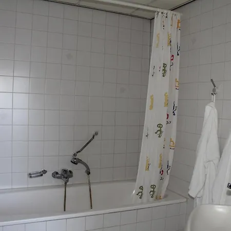 De Roode Leeuw 3* Terborg