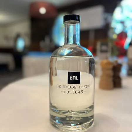 Hotel Restaurant De Roode Leeuw Hotel 3*