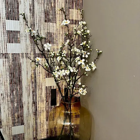 Hotel Hotel Restaurant De Roode Leeuw 3*