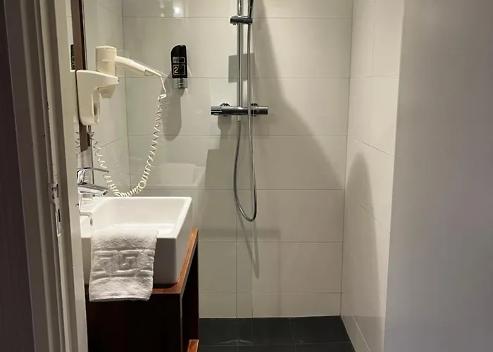 Otel Restaurant De Roode Leeuw 3*